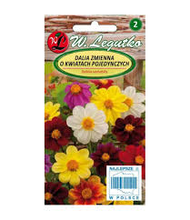 Aeddaalia Mignon segu 1g