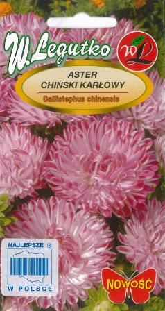 Aster Contraster roosa 0,5g