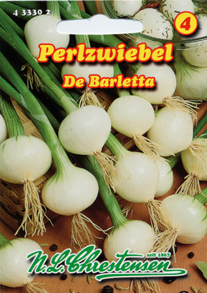 Pärlsibul De Barletta