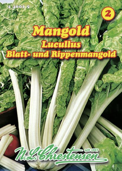 Mangold Luccullus