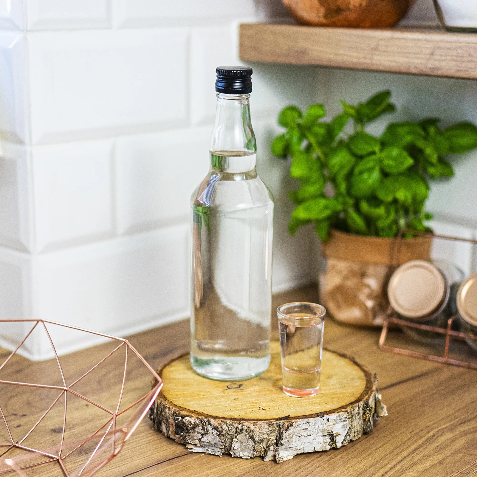 Aktiivsüsi kookoskoorest Actisorb, 900ml / 460g