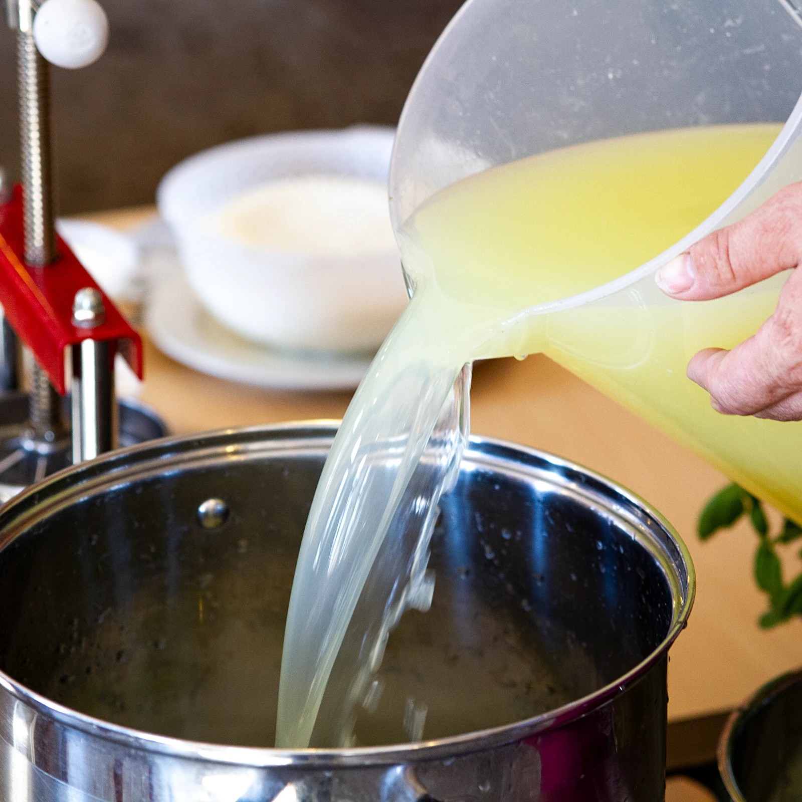 Juustulaap vedel 50ml