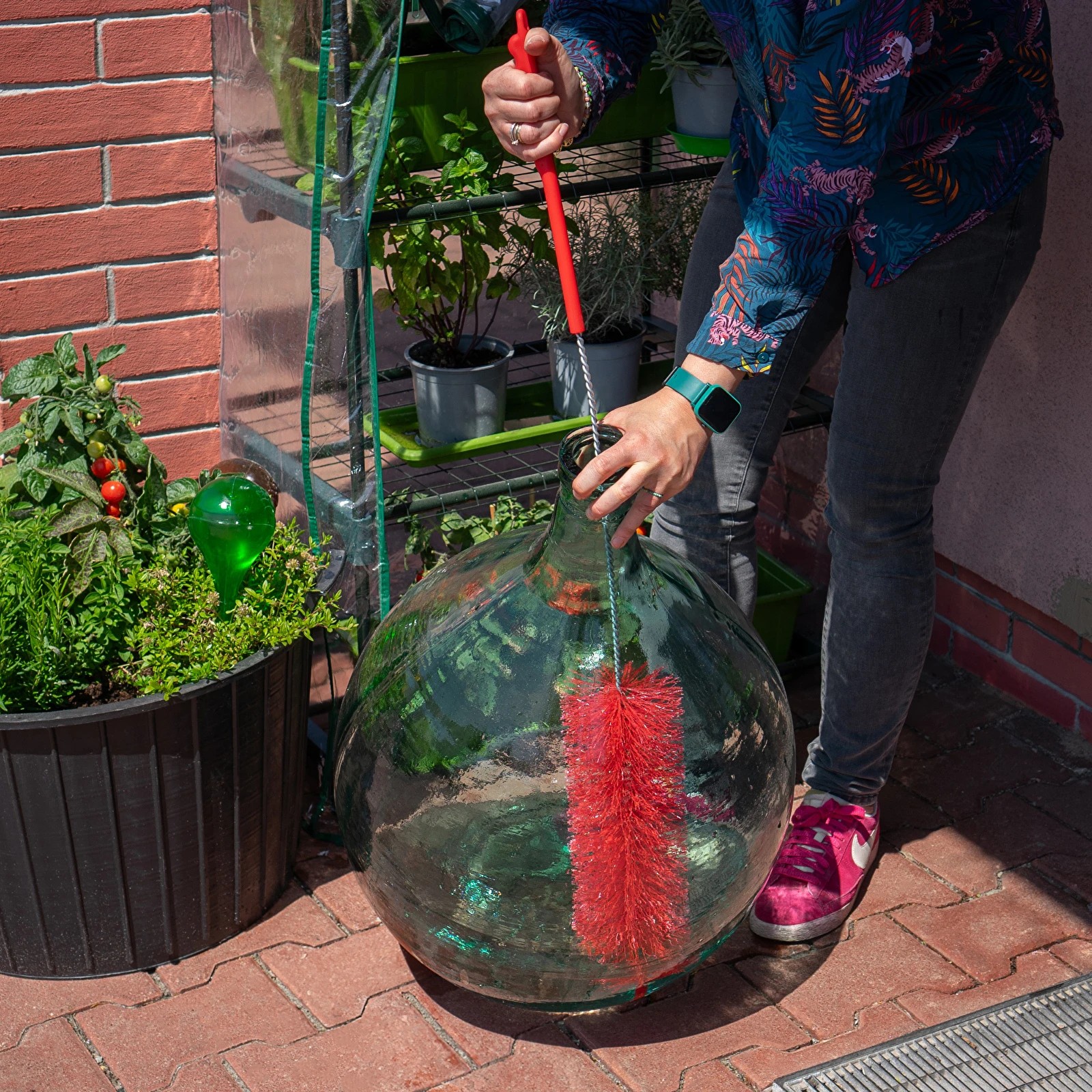 Veinipudeli hari suur