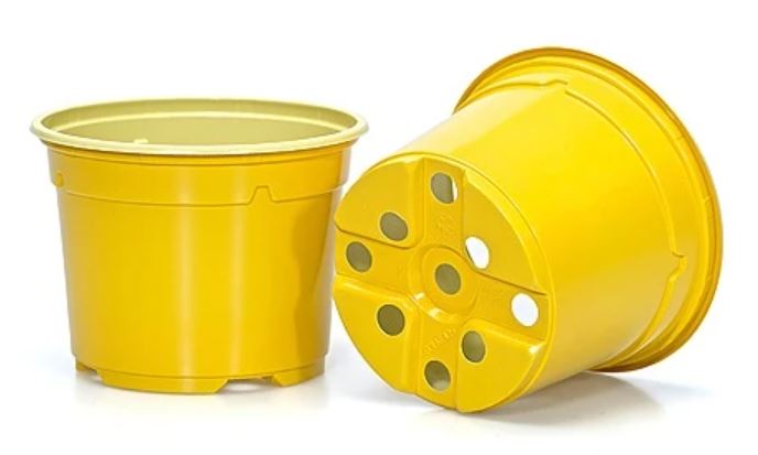 Istikupott 10,5cm kollane