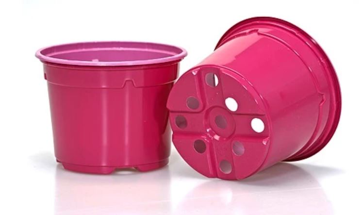 Istikupott 12cm fuksia