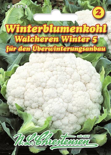 Lillkapsas Walcheren Winter 5