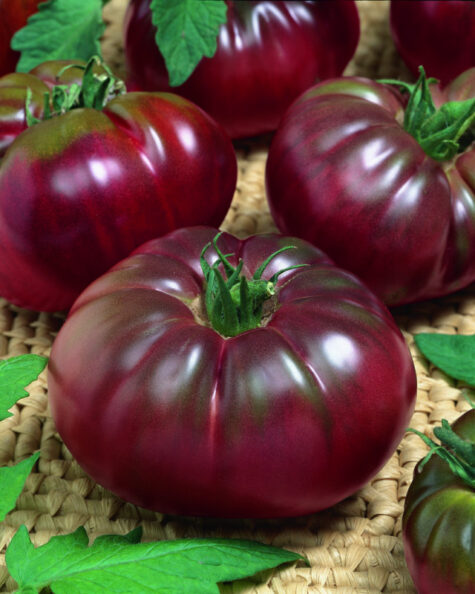 Tomat  Noire de Crimee 5 g