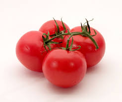 Tomat Terma 5 g