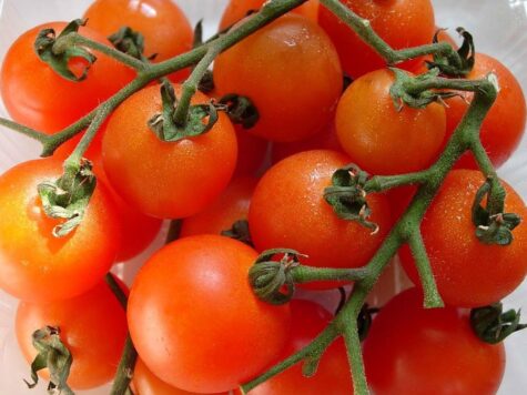 Tomat Sungold 10 seemet