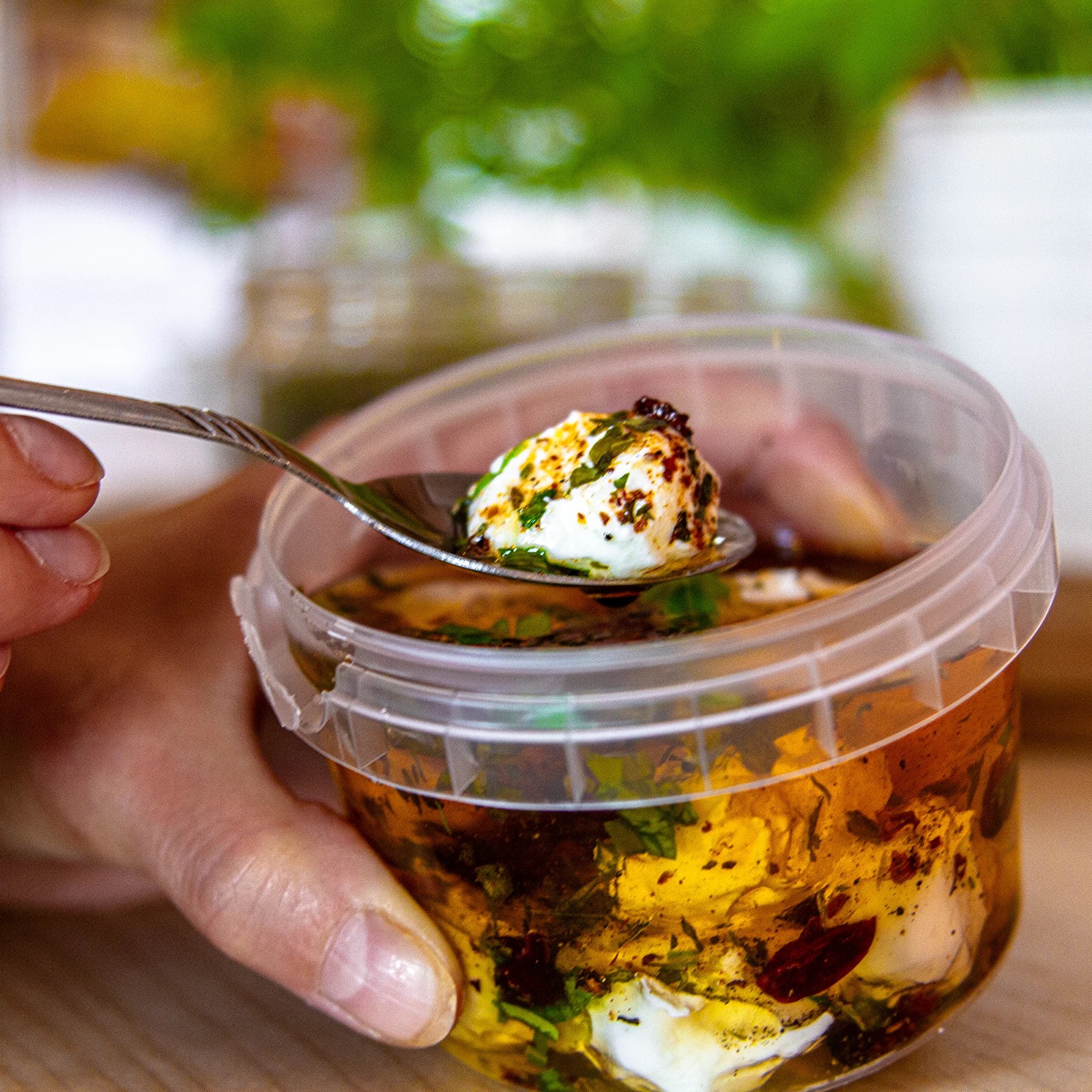 Bakterkultuur jogurti valmistamiseks