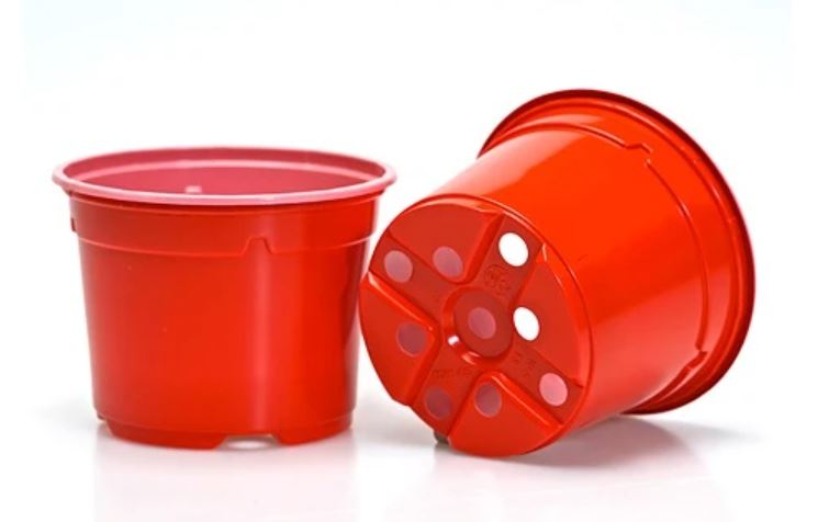 Istikupott 10,5cm punane