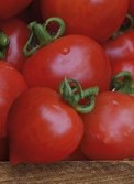 Tomat Lovertino 5 seemet