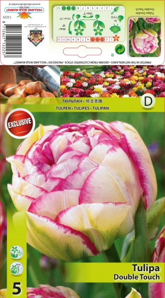 Tulp Double Touch 5tk