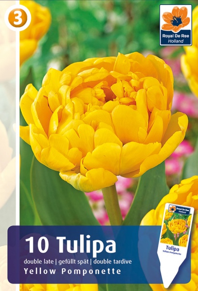Tulp Yellow Pomponette 10tk