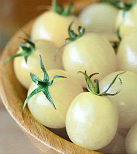 Tomat White Cherry 5 seemet