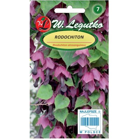 Tume purpurvanik 6 seemet