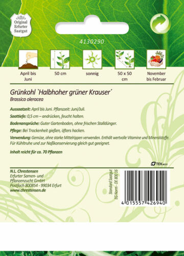 Lehtkapsas Halbhoher grüner Krauser ERF