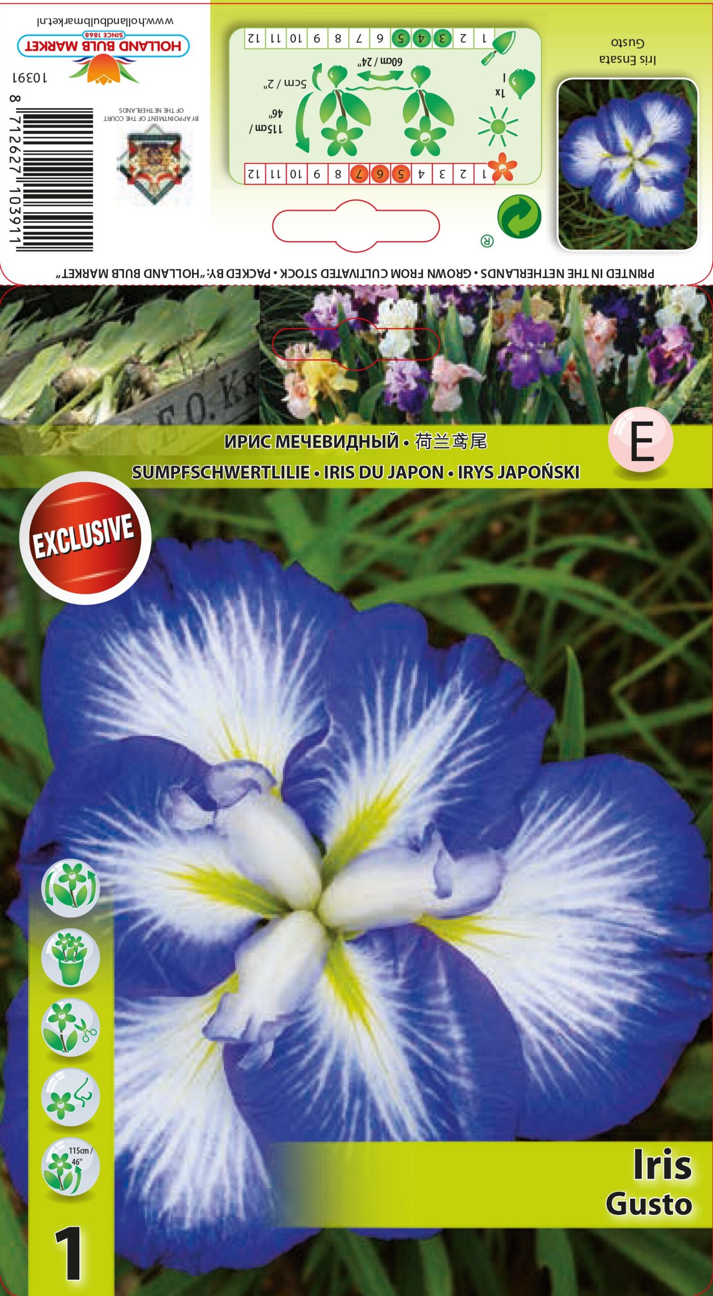 Iiris jaapani Gusto 1 tk