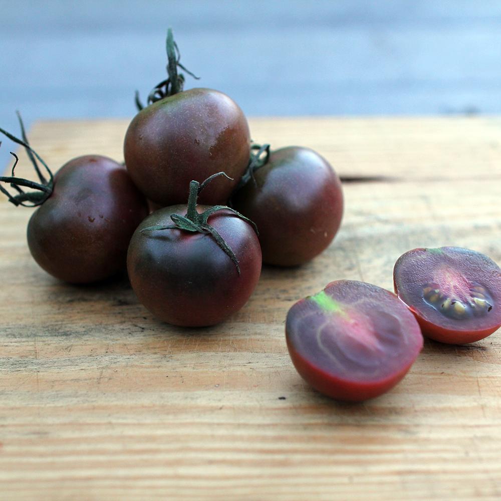 Tomat Black Cherry taim P10,5