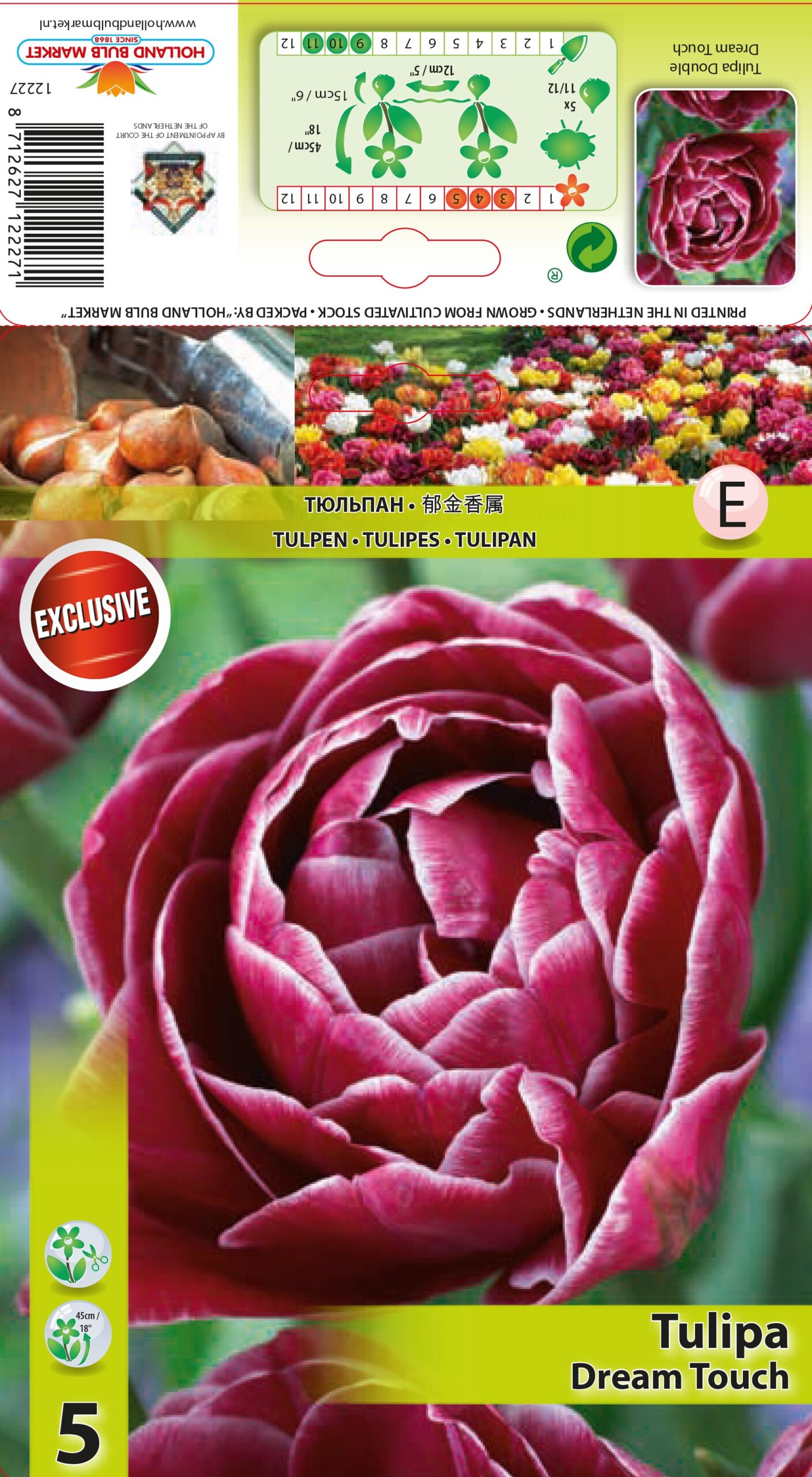 Tulp Dream Touch 5 tk