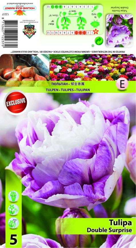 Tulp Double Surprise 5 tk