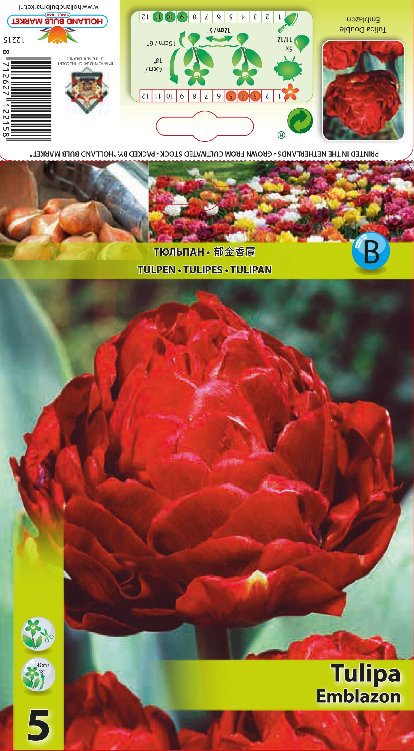 Tulp Emblazon 5tk