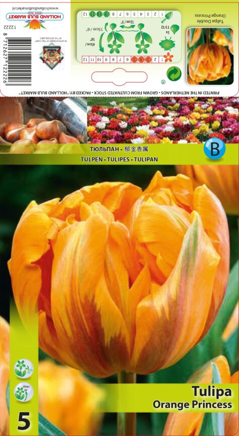 Tulp Orange Princess 5tk