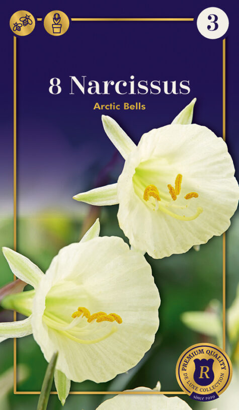 Nartsiss Arctic Bells 8tk