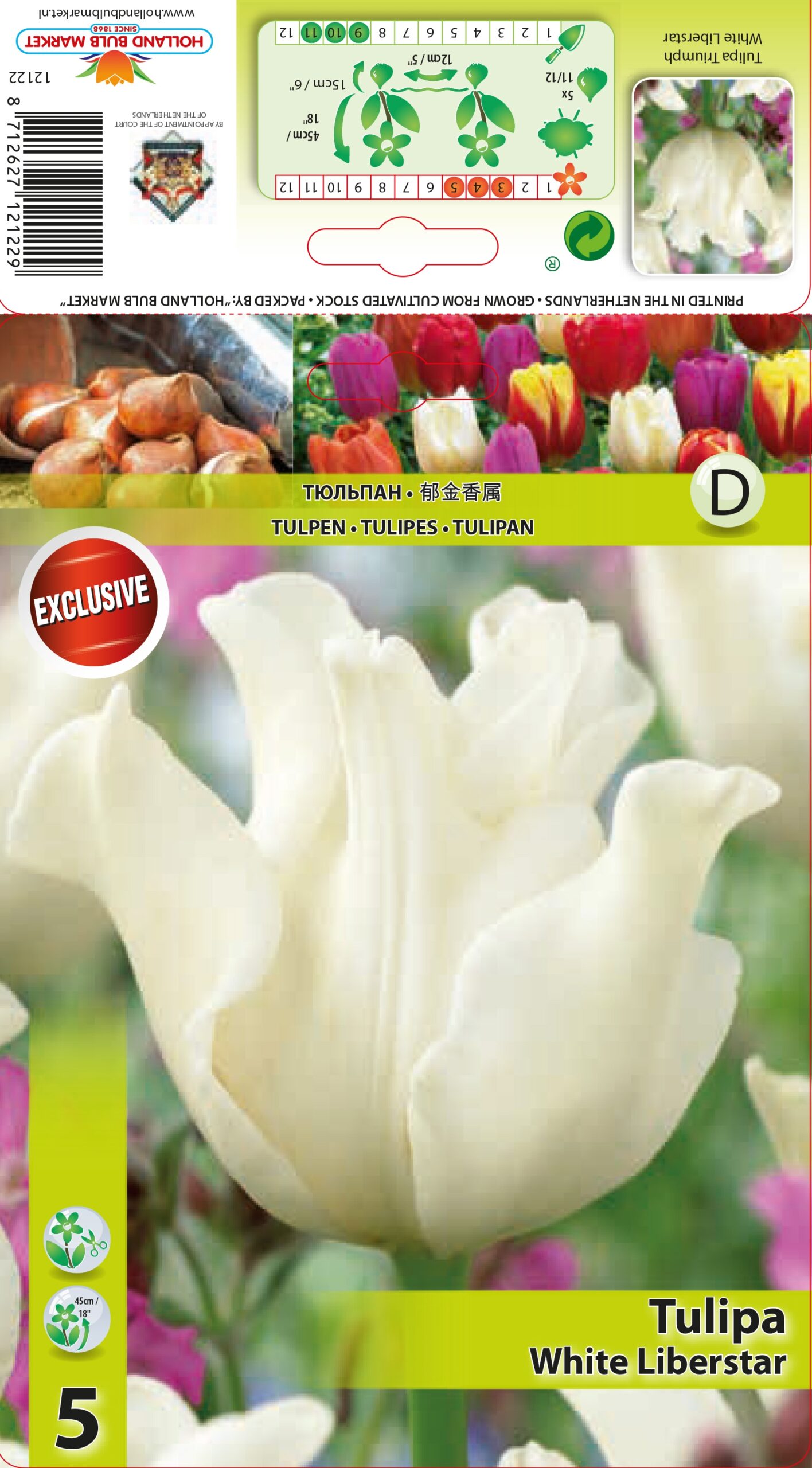 Tulp White Liberstar 5 tk