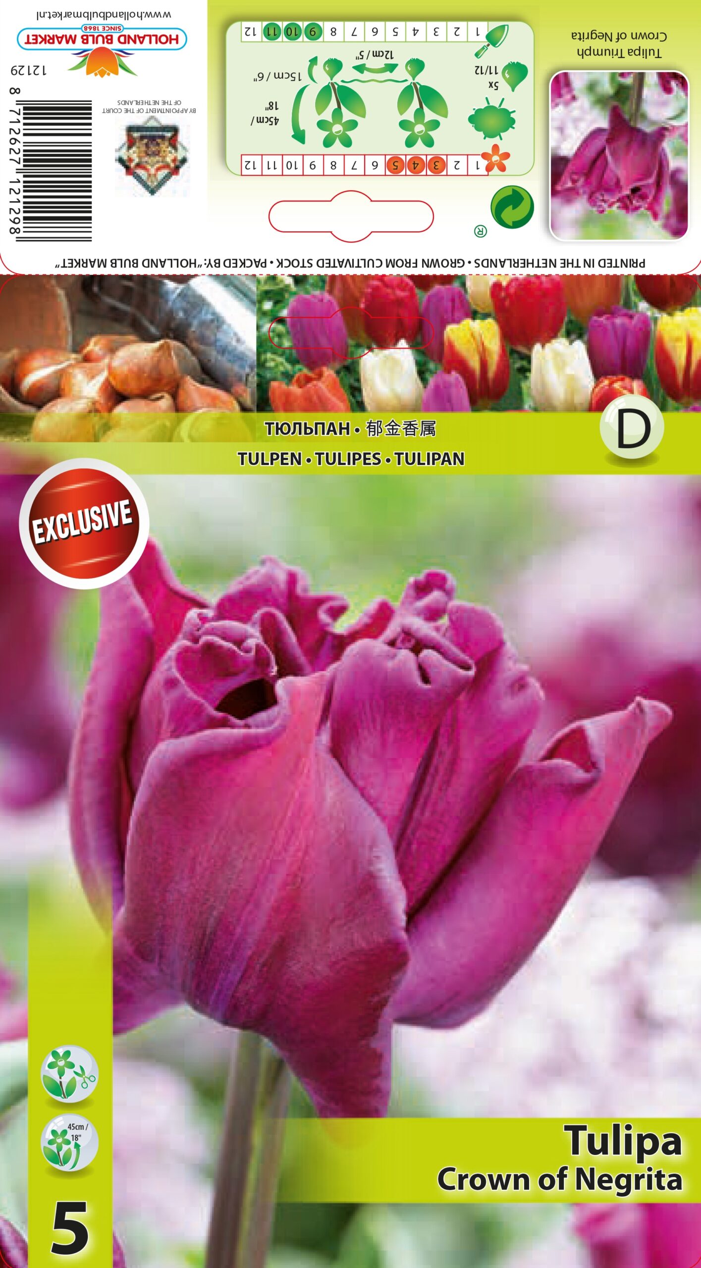 Tulp Crown of Negrita 5 tk