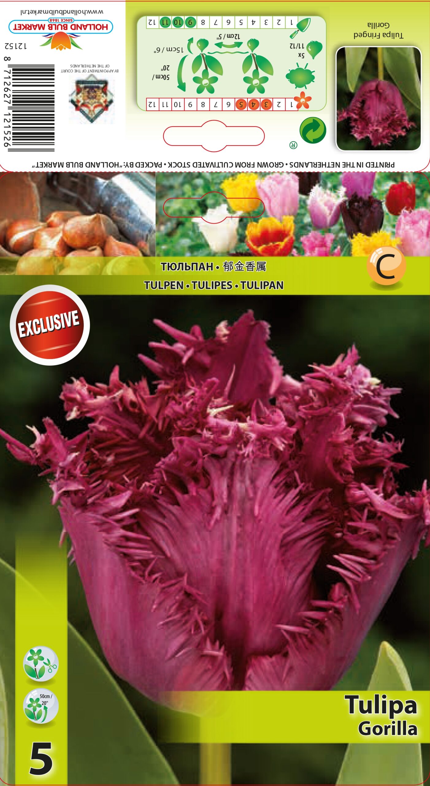 Tulp Gorilla 5tk