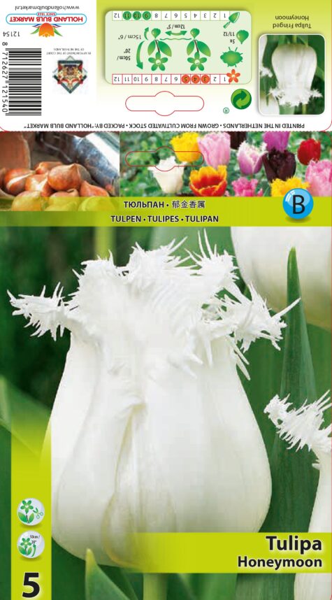 Tulp Honeymoon 5 tk