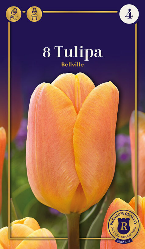 Tulp Bellville 8 tk