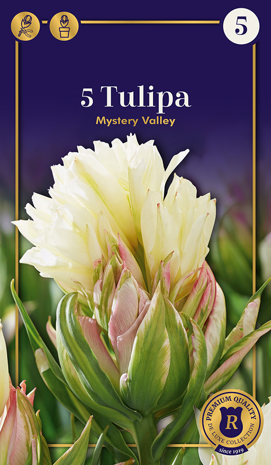 Tulp Mystery Valley 5 tk