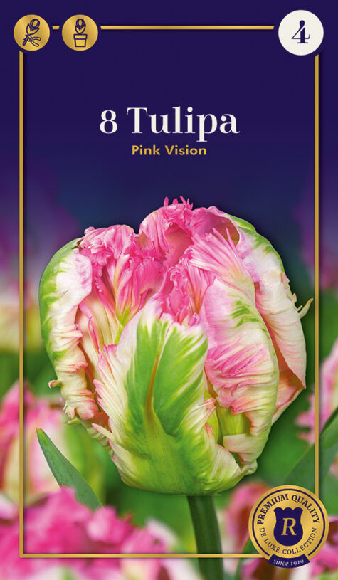 Tulp Pink Vision 8tk