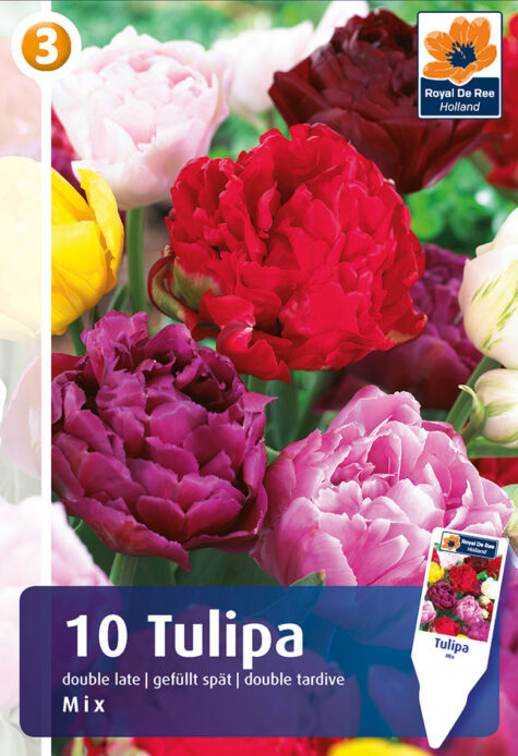 Tulp täidisõieliste segu 10tk