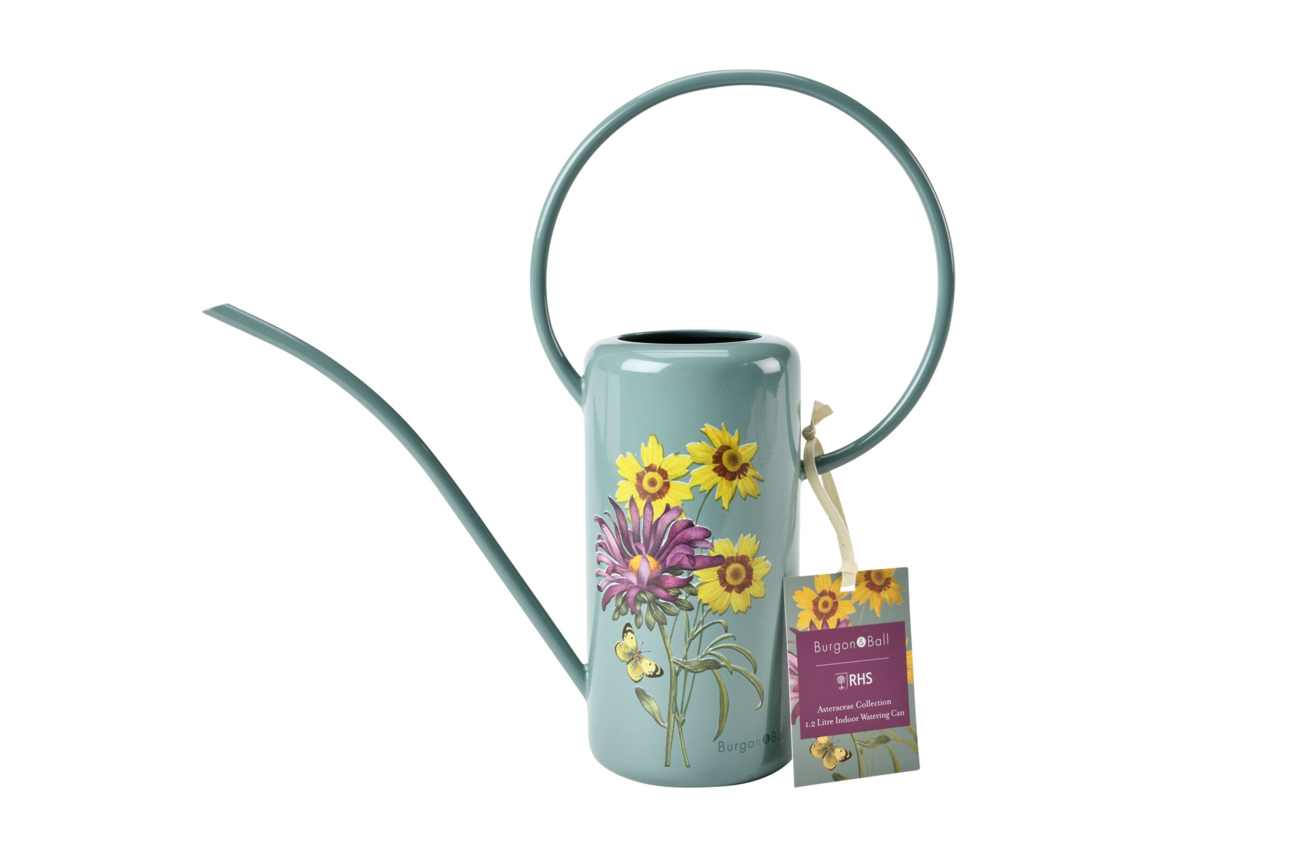 Kastekann metallist - Asteraceae 1,2 L