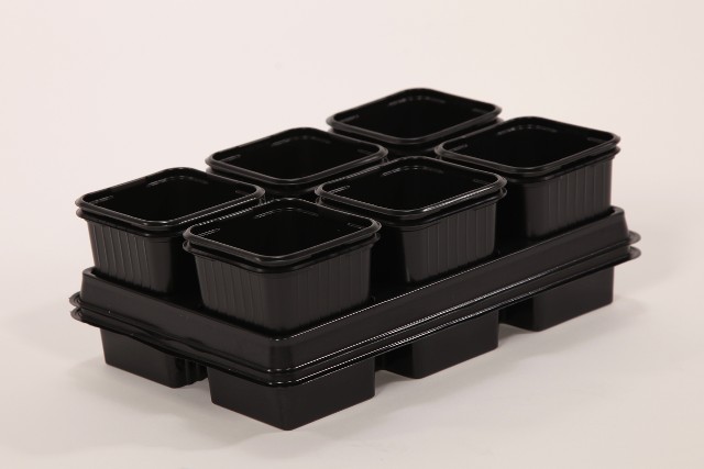 Pott kandiline 8x8cm 12tk. + alus 2 tk.