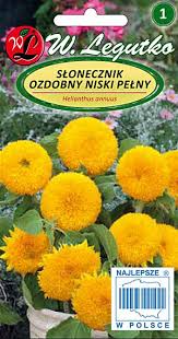 Päevalill Teddy Bear