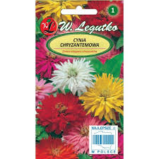 Pruudisõlg krüsanteemõieline segu 1g