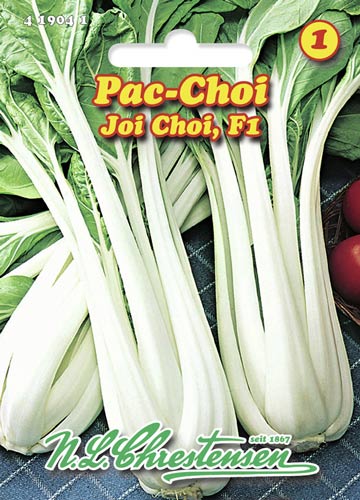 Hiina lehtnaeris Pac Choi