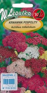 Harilik raudrohi segu 0,3g