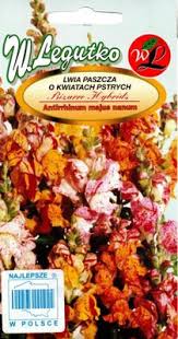 Lõvilõug Tutti Frutti 0,1g