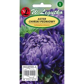 Aster pojeng violetne 1g
