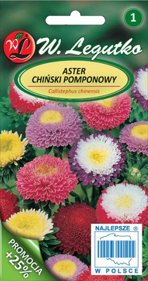 Aster pompoon segu 1,25g