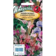 Lillhernes kõrge segu 3g