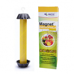 Liimpüünis Magnet Drosophila Banana äädikakärbestele
