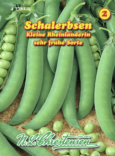 Aedhernes Kleine Rheinländerin