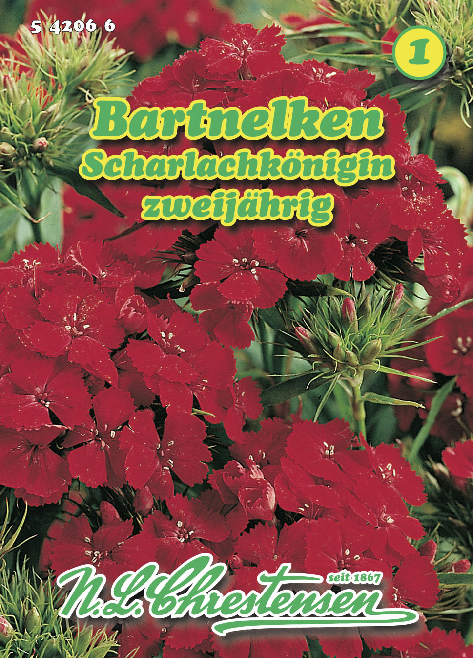 Habenelk Scharlachkönigin