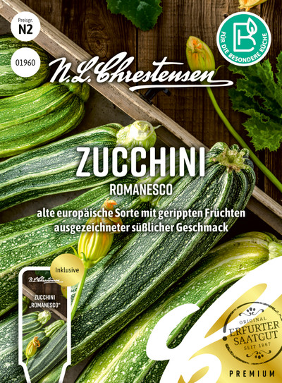 Rullkõrvits Romanesco S